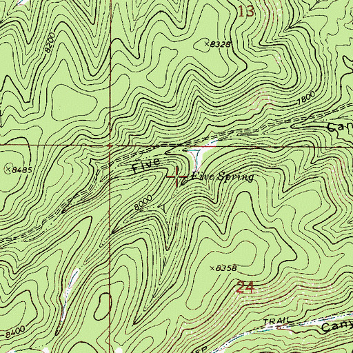 Topographic Map of Five Spring, NM