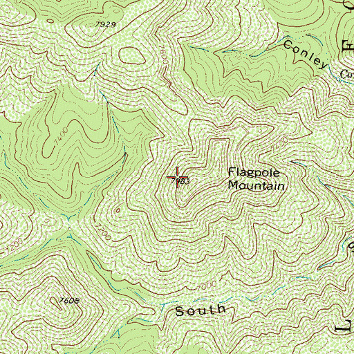 Topographic Map of Flagpole Mountain, NM