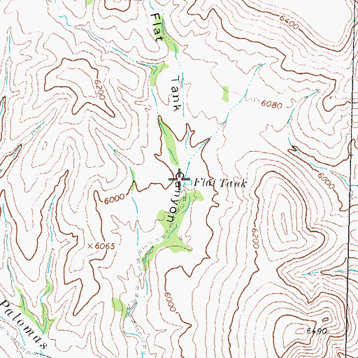 Topographic Map of Flat Tank, NM