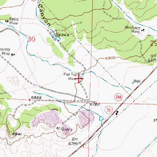Topographic Map of Flat Top Mine, NM