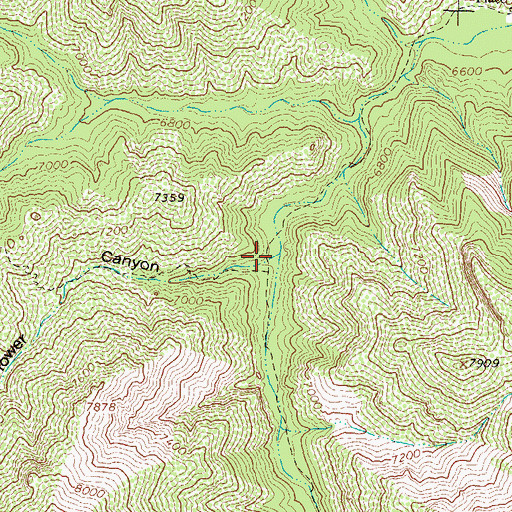 Topographic Map of Flower Canyon, NM