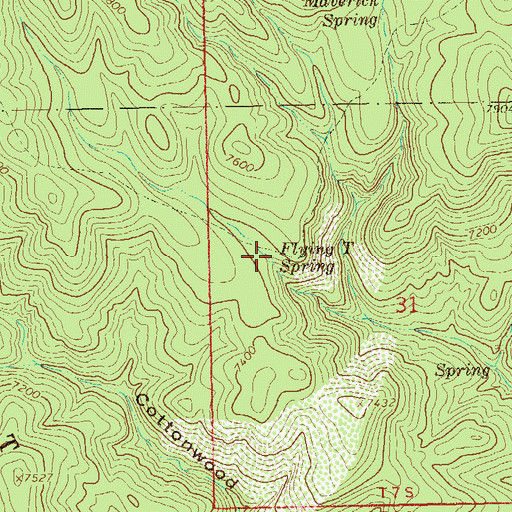 Topographic Map of Flying T Spring, NM