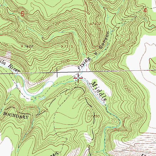 Topographic Map of Flying V Canyon, NM