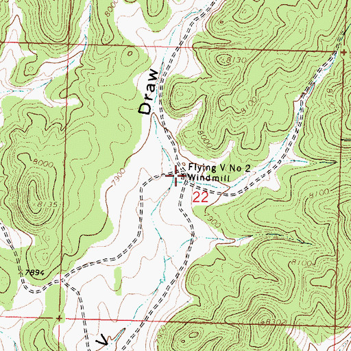 Topographic Map of Flying V Number 2 Windmill, NM