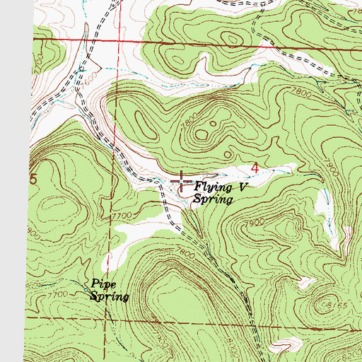 Topographic Map of Flying V Spring, NM