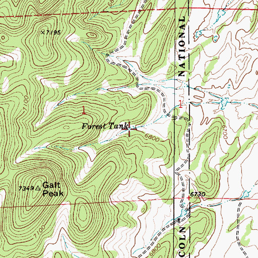 Topographic Map of Forest Tank, NM