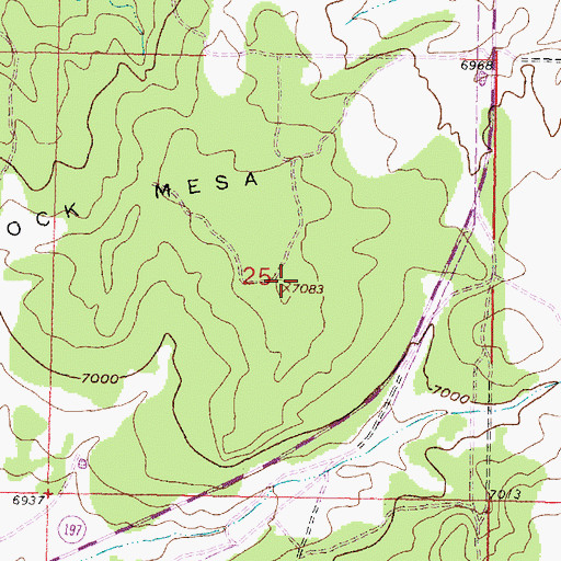 Topographic Map of Fork Rock Mesa, NM
