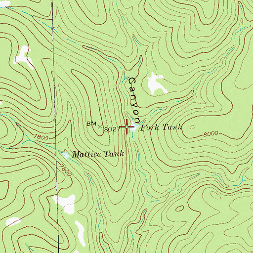 Topographic Map of Fork Tank, NM