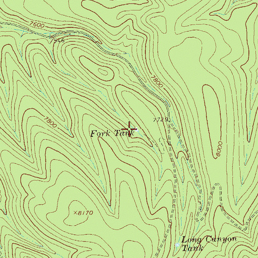 Topographic Map of Fork Tank, NM