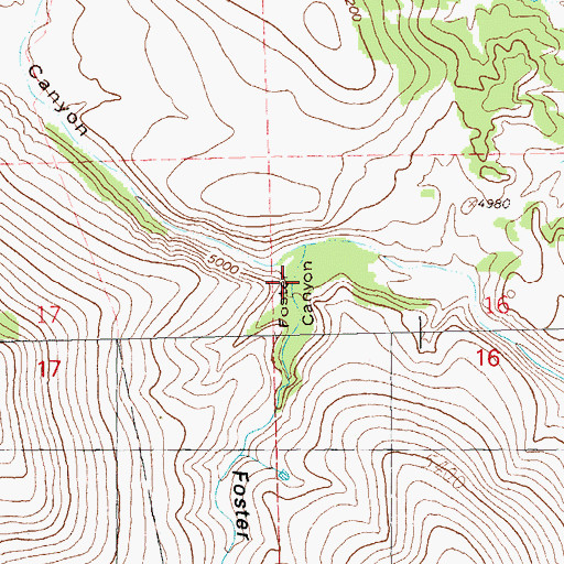Topographic Map of Foster Canyon, NM