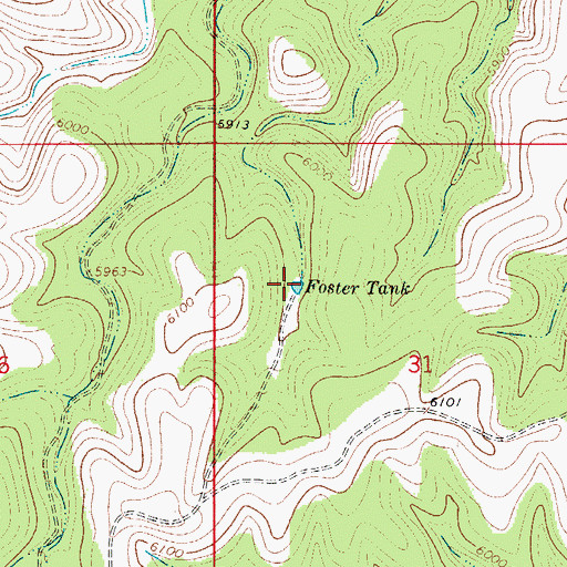 Topographic Map of Foster Tank, NM