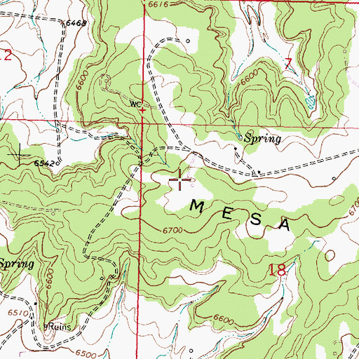 Topographic Map of Fourmile Mesa, NM