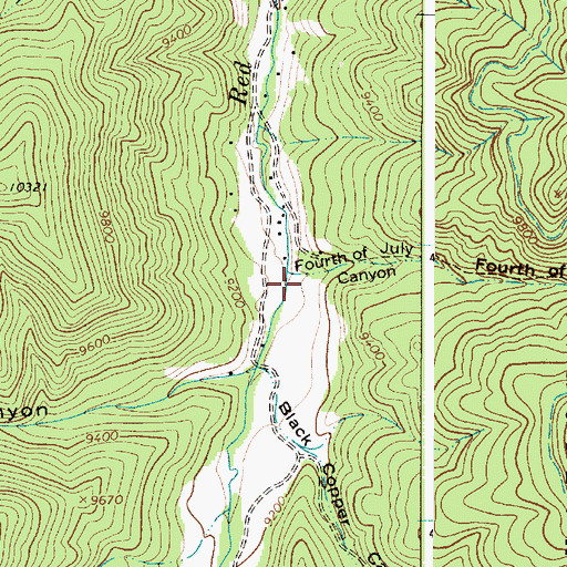 Topographic Map of Fourth of July Canyon, NM