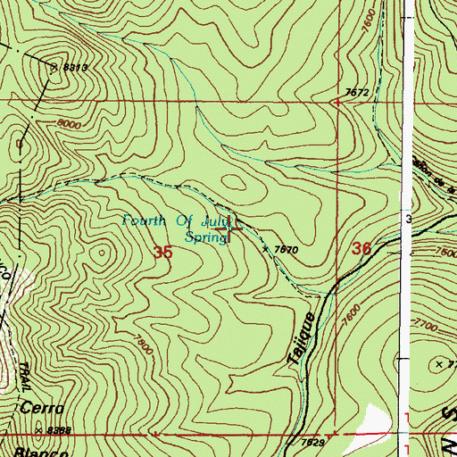 Topographic Map of Fourth of July Spring, NM