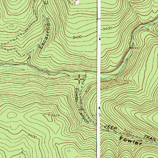 Topographic Map of Fowler Canyon, NM