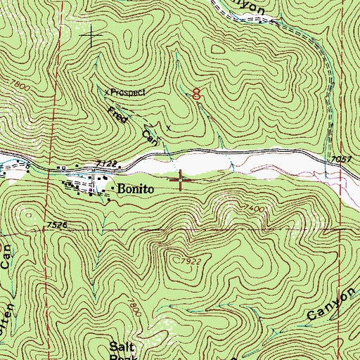 Topographic Map of Fred Canyon, NM