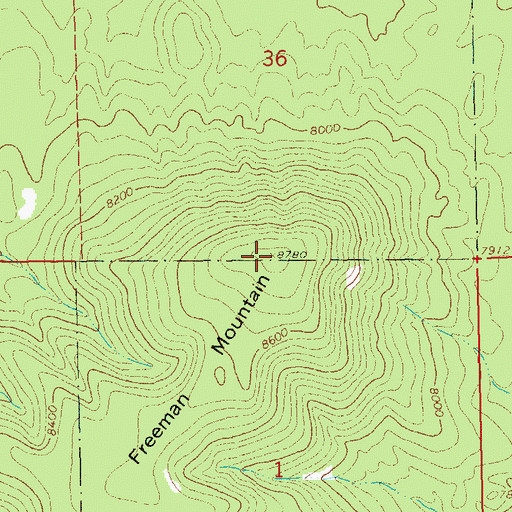 Topographic Map of Freeman Mountain, NM