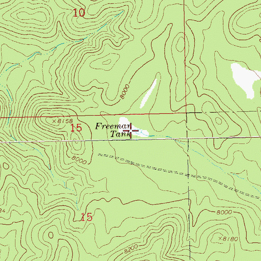 Topographic Map of Freeman Tank, NM