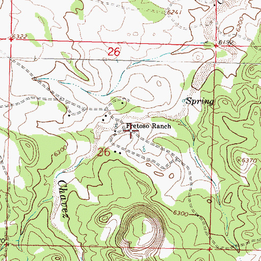Topographic Map of Fretoso Ranch, NM