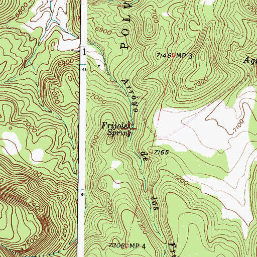 Topographic Map of Frijoles Spring, NM