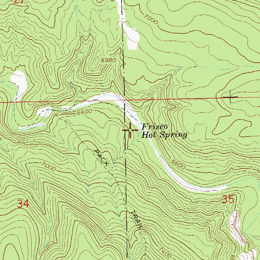 Topographic Map of Frisco Hot Spring, NM
