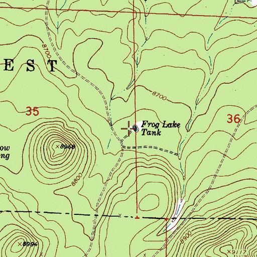 Topographic Map of Frog Lake Tank, NM