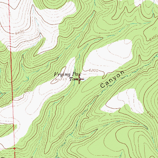 Topographic Map of Frying Pan Tank, NM