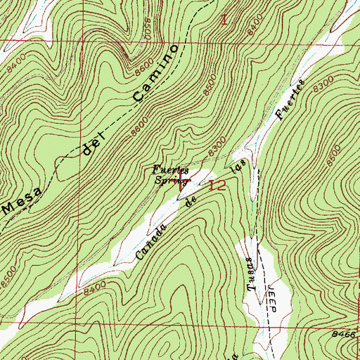Topographic Map of Fuertes Spring, NM