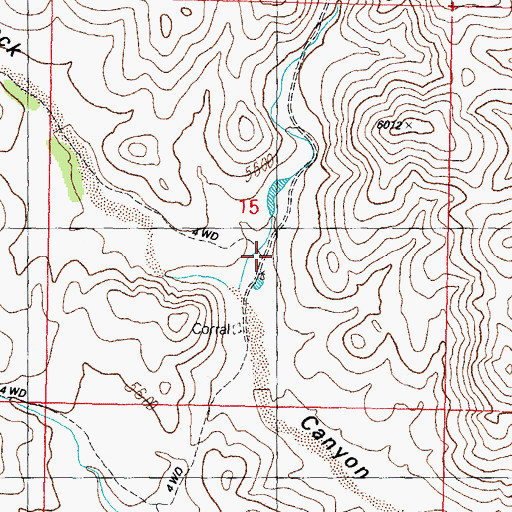 Topographic Map of Fuller Canyon, NM