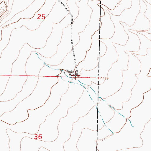Topographic Map of Fullerton Well, NM