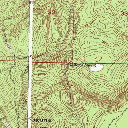 Topographic Map of Gallegos Spring, NM