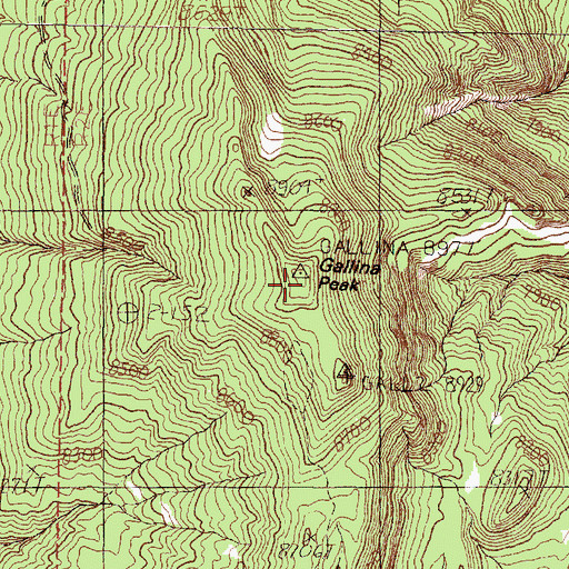 Topographic Map of Gallina Peak, NM