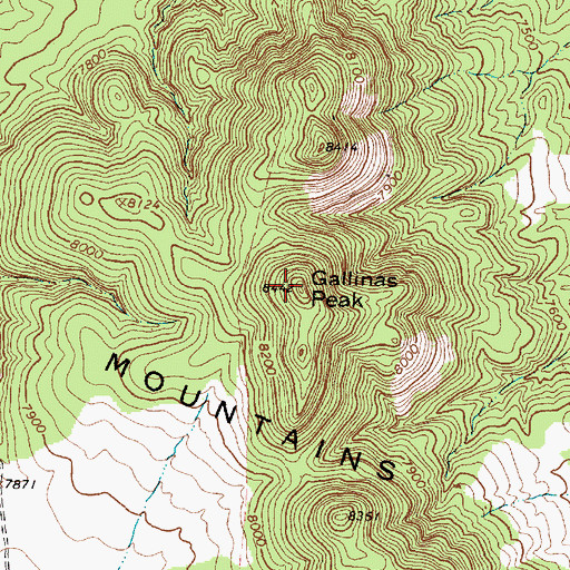 Topographic Map of Gallinas Peak, NM