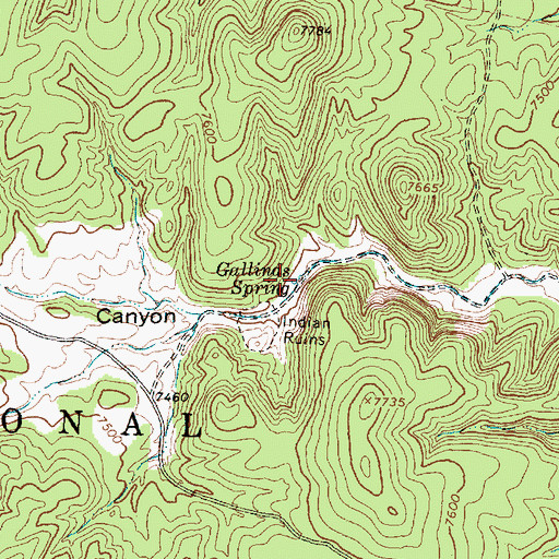 Topographic Map of Gallinas Spring, NM