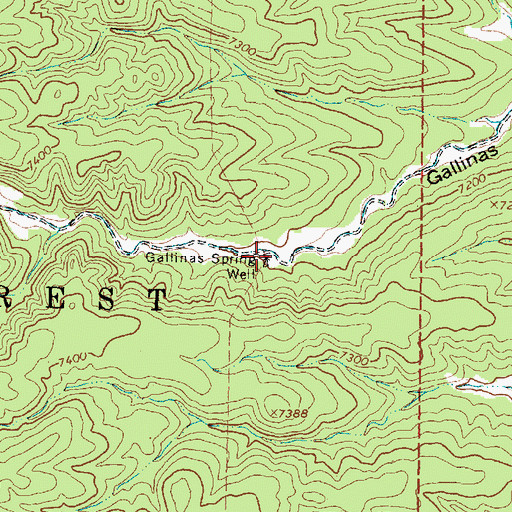 Topographic Map of Gallinas Spring Dug Well, NM