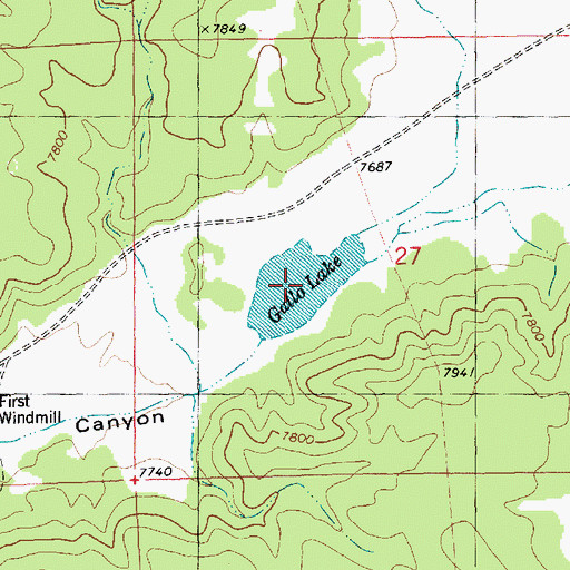 Topographic Map of Gallo Lake, NM
