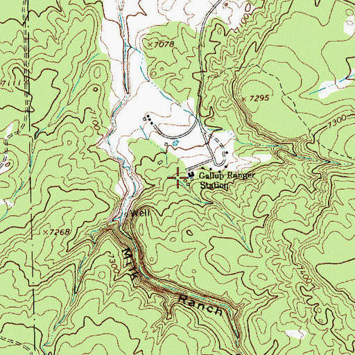 Topographic Map of Gallup Ranger Station, NM