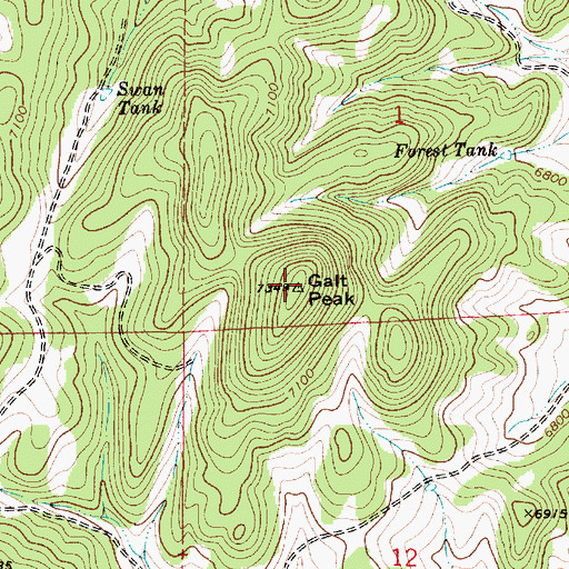 Topographic Map of Galt Peak, NM