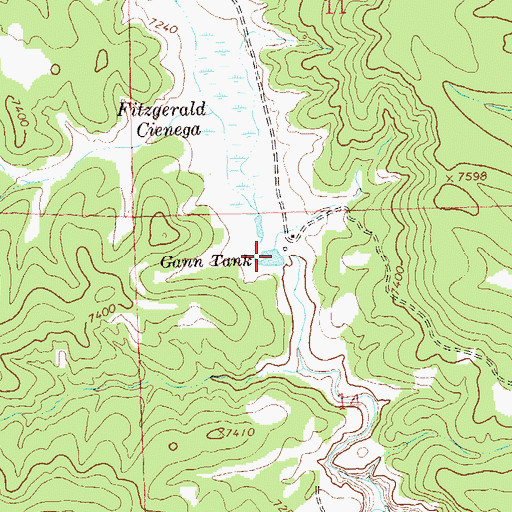 Topographic Map of Gann Tank, NM