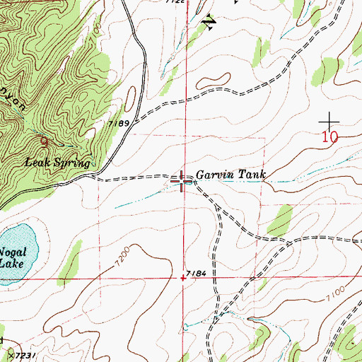 Topographic Map of Garvin Tank, NM