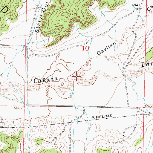 Topographic Map of Gavilan Canyon, NM