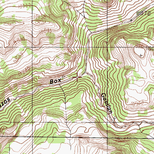 Topographic Map of Gavilan Creek, NM