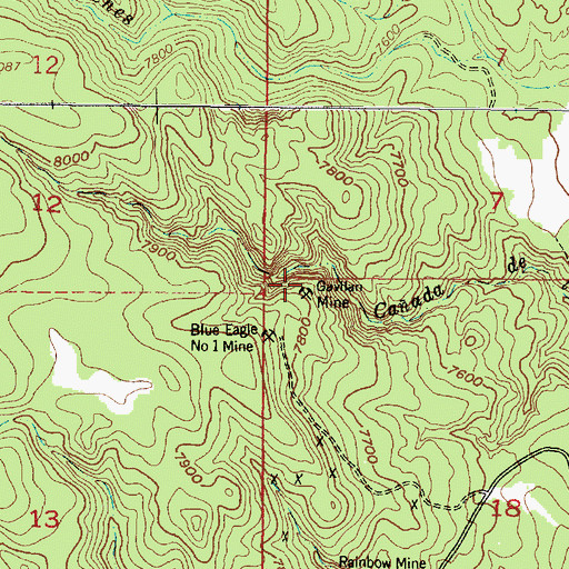 Topographic Map of Gavilan Mine, NM