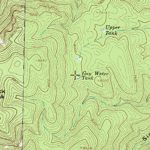 Topographic Map of Gay Water Tank, NM