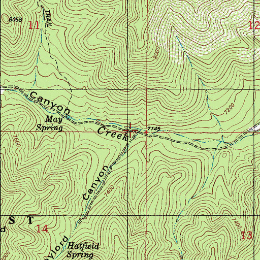 Topographic Map of Gaylord Canyon, NM