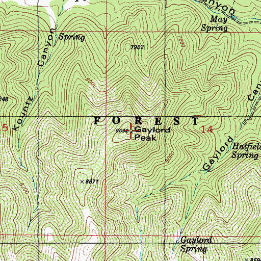 Topographic Map of Gaylord Peak, NM