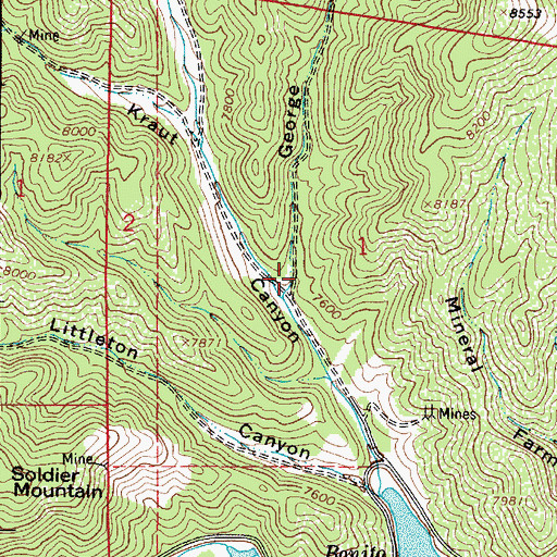 Topographic Map of George Canyon, NM