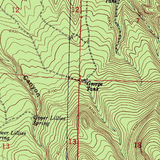 Topographic Map of George Tank, NM