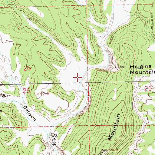 Topographic Map of Geronimo Canyon, NM