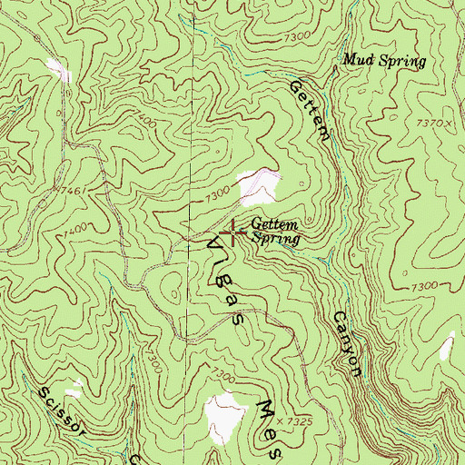 Topographic Map of Gettem Spring, NM
